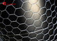 পশু চিড়িয়াখানার বেড়ার জন্য পিভিসি কোটেড ওয়্যার ফার্ম 1.0 মিমি হেক্সাগোনাল পোল্ট্রি নেটিং