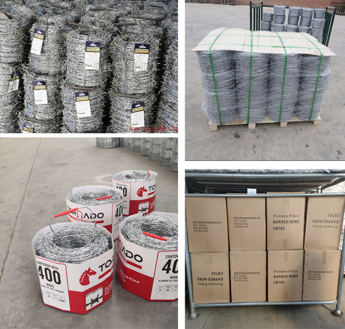 কম দামের কনসার্টিনা হট ডুব গ্যালভানাইজড রেজার বার্বড ওয়্যার 3