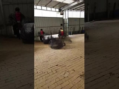 গাছ বা উদ্ভিদের জন্য কালো অ্যানাল রুট বোল ওয়্যার বাস্কেট রুটবোল পরিবহন