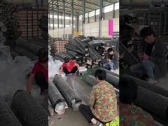 সবুজ ২০ গেজ ধাতব তারের জাল সজ্জিত ষড়ভুজ তারের জাল পিভিসি লেপা