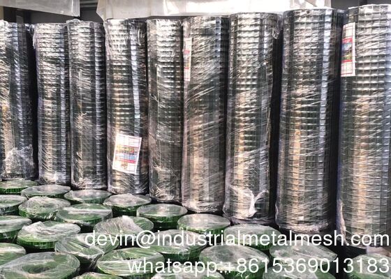 হট-ডিপড গ্যালভানাইজড/স্টেইনলেস স্টিল/ব্ল্যাক ওয়্যার ওয়েল্ডেড ওয়্যার মেশ