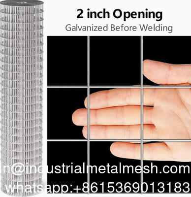 শিল্প ও বাণিজ্যিক ব্যবহারের জন্য টেকসই ঝালাইড তারের জাল