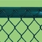 নিরাপত্তার জন্য 60x60mm পিভিসি প্রলিপ্ত গ্যালভানাইজড চেইন লিঙ্ক বেড়া ফ্যাব্রিক