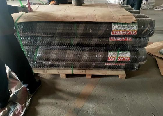 পিভিসি গ্যালভানাইজড 0.6 মিমি ডায়া হেক্সাগোনাল চিকেন ওয়্যার মেশ 3/4 ইঞ্চি খোলা