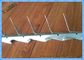 গরম dipped galvanized এবং পিভিসি লেপা কালো মাঝারি ওয়াল spikes 0.8 মিমি বেধ