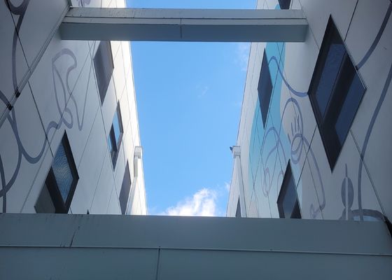 সুরক্ষা এবং নিরাপত্তার জন্য ব্যালাস্ট্রেড অ্যান্টি জারা স্টেইনলেস স্টিল 316 তারের দড়ি জাল