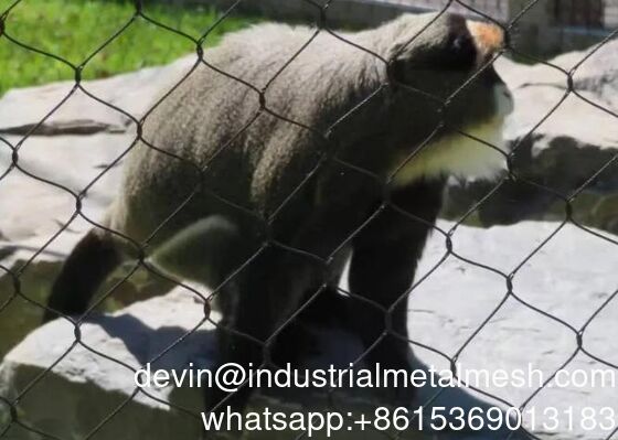 গরম বিক্রয় নমনীয় স্টেইনলেস স্টীল রোপ জাল তারের দড়ি জাল