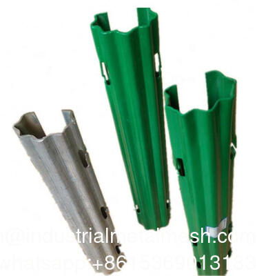 গলিত ড্রাগন ফল মেটাল পোস্ট আঙুর ক্ষেতের জন্য ট্রেলিস আঙ্গুর স্টেক