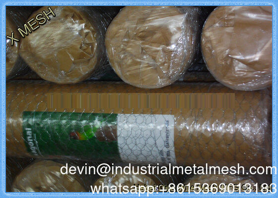 3/4 "হেক্সাগোনাল জাল লোহা তারের জাল গরম ডুবা গ্যালভানাইজড চিকেন তারের