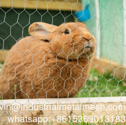 ৪ ইঞ্চি মুখযুক্ত ষড়ভুজাকার তারের জাল যা বাগান বেড়ার জন্য ব্যবহৃত হয়
