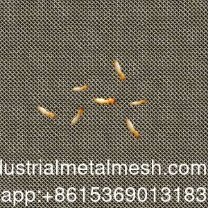 AISI 304 316 316L অ্যান্টি-টার্মিট স্টেইনলেস স্টীল ওয়েভড ওয়্যার মেশ স্ক্রিন