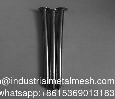 গ্যালভানাইজড সাধারণ তারের নখ মসৃণ শ্যাঙ্ক টাইপ বৃত্তাকার সমতল মাথা নখ