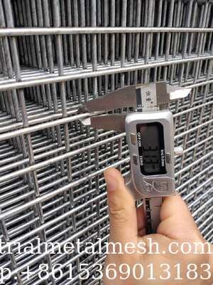 2.0mm/3.0mm/4.0mm Hot DIP Galvanized Welded Wire Mesh Panel 50mm*50mm 2*2 Galvanized Welded Metal Mesh