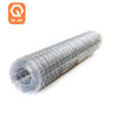গার্ডেন বেড়া পিভিসি প্রলিপ্ত জন্য Galvanized ঢালাই তারের জাল