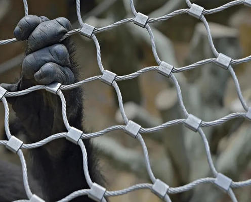 Hot Sale Flexible Stainless Steel Rope Mesh Wire Rope Mesh