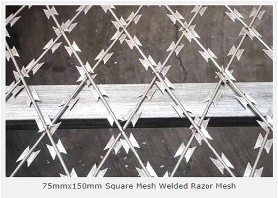 সিলভার গ্যালভানাইজড ওয়েল্ডেড 3.2 মিমি রেজার ওয়্যার জাল 75x150 মিমি খোলা
